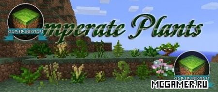 Мод Temperate Plans для Minecraft 1.7.10